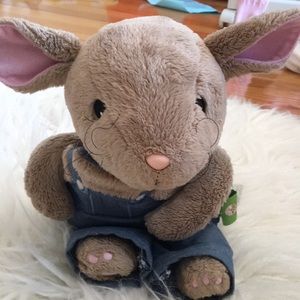 Mouse book